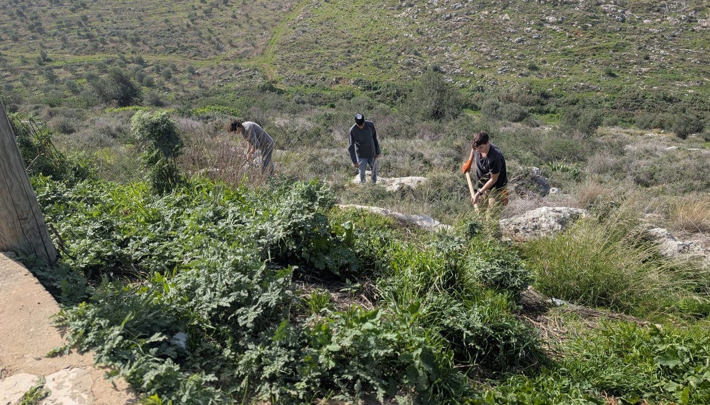 מתנדבים מעבדים ומיישבים את אדמת ארץ ישראל — האדמה לעם