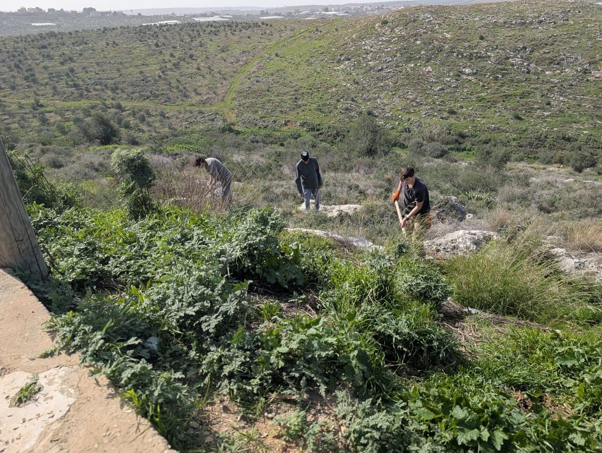 יישוב הארץ ובנייה – קרקע, דיור ורמ״י